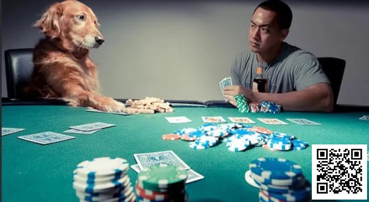 【EV扑克】他用垃圾牌狂输,却坚持“牌不重要”,结局令人深思 【EV扑克】他用垃圾牌狂输,却坚持“牌不重要”,结局令人深思