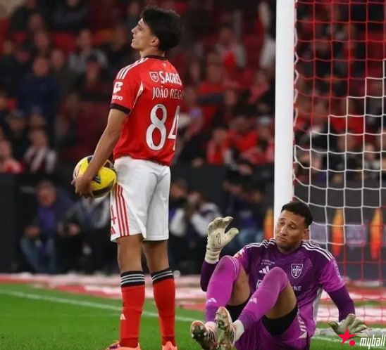 大发体育-穆里尼奥再遭补时打击,本菲卡主场2-2痛失好局,大发助力你的致富之路! 大发体育-穆里尼奥再遭补时打击,本菲卡主场2-2痛失好局,大发助力你的致富之路!