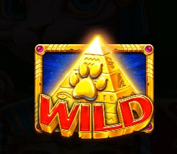 埃及神猫:探寻古埃及的未解之谜 埃及神猫:探寻古埃及的未解之谜