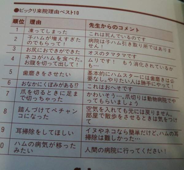 【博狗扑克】超爆笑　倉鼠看獸醫的理由 TOP 10