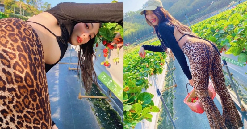 【博狗扑克】這樣採草莓可以嗎？「布農族的美尻正妹」火辣出遊，「飽滿南半球」角度好刺激